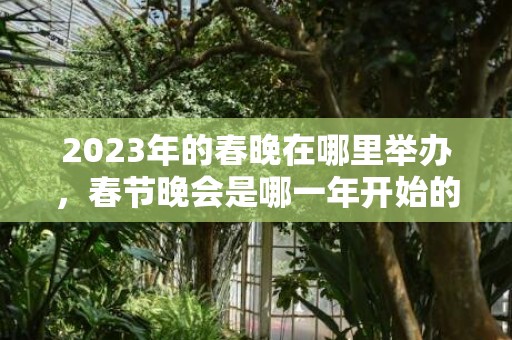 2023年的春晚在哪里举办，春节晚会是哪一年开始的