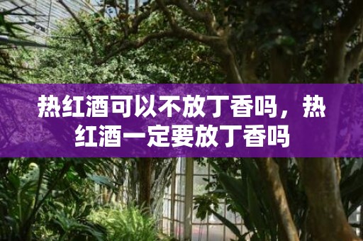 热红酒可以不放丁香吗，热红酒一定要放丁香吗