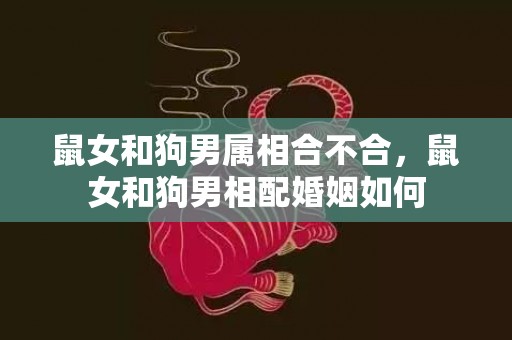 鼠女和狗男属相合不合，鼠女和狗男相配婚姻如何