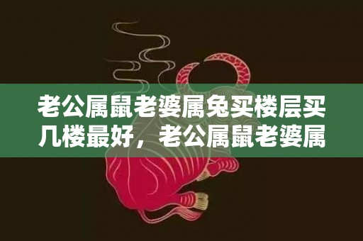 老公属鼠老婆属兔买楼层买几楼最好，老公属鼠老婆属兔好不好