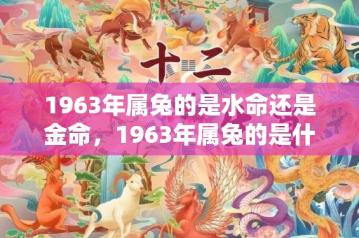 1963年属兔的是水命还是金命，1963年属兔的是什么命