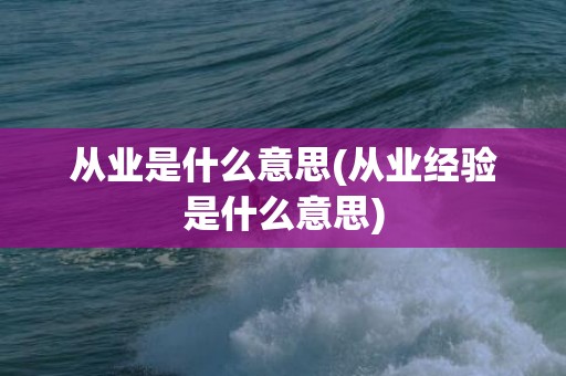 从业是什么意思(从业经验是什么意思)