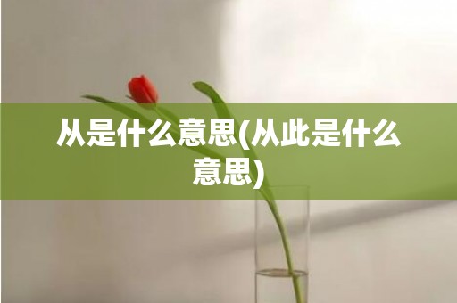 从是什么意思(从此是什么意思)