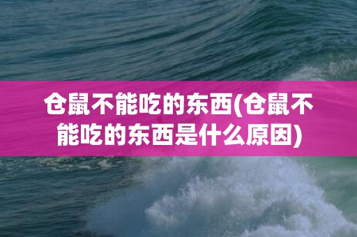 仓鼠不能吃的东西(仓鼠不能吃的东西是什么原因)