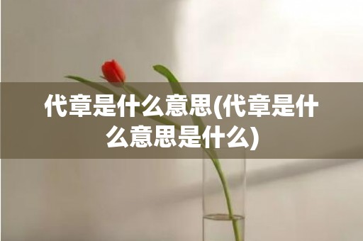 代章是什么意思(代章是什么意思是什么)