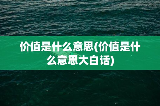 价值是什么意思(价值是什么意思大白话)