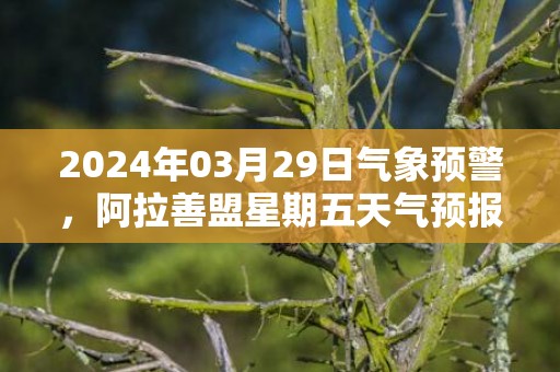 2024年03月29日气象预警，阿拉善盟星期五天气预报 大部晴