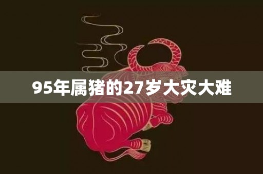 95年属猪的27岁大灾大难