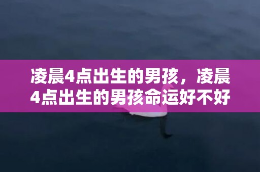 凌晨4点出生的男孩，凌晨4点出生的男孩命运好不好