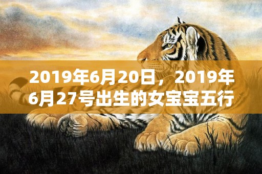 2019年6月20日，2019年6月27号出生的女宝宝五行缺金要怎么起名字