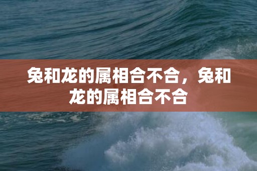 兔和龙的属相合不合，兔和龙的属相合不合