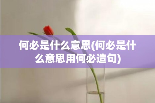 何必是什么意思(何必是什么意思用何必造句)