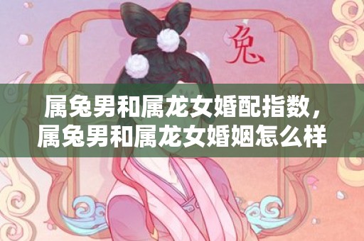 属兔男和属龙女婚配指数，属兔男和属龙女婚姻怎么样