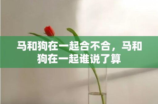 马和狗在一起合不合，马和狗在一起谁说了算