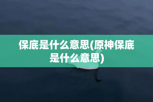 保底是什么意思(原神保底是什么意思)