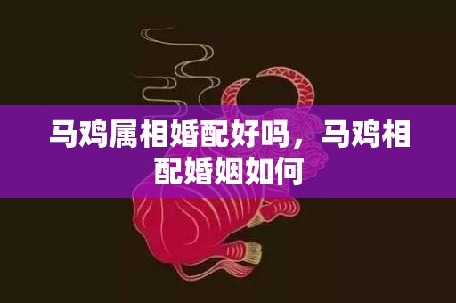 马鸡属相婚配好吗，马鸡相配婚姻如何