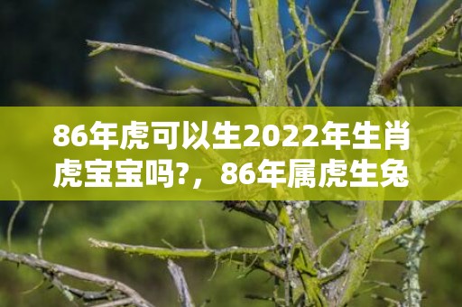 86年虎可以生2022年生肖虎宝宝吗?，86年属虎生兔宝宝好吗