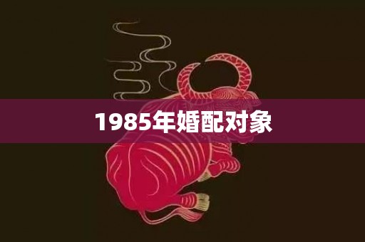 1985年婚配对象