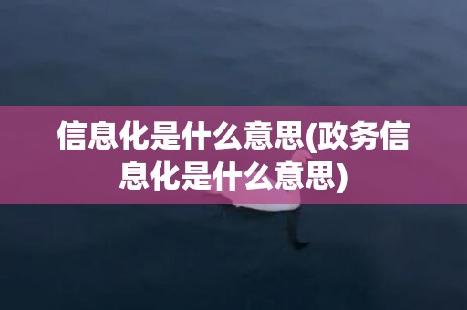 信息化是什么意思(政务信息化是什么意思)