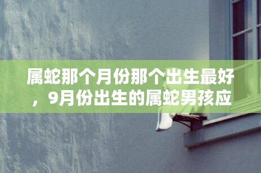 属蛇那个月份那个出生最好，9月份出生的属蛇男孩应该要怎样取名字