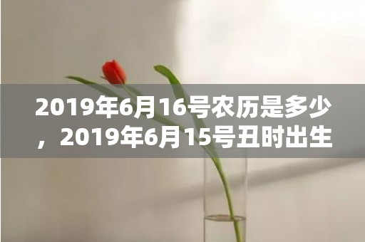 2019年6月16号农历是多少，2019年6月15号丑时出生的男孩起名方法