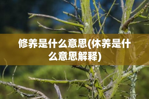 修养是什么意思(休养是什么意思解释)