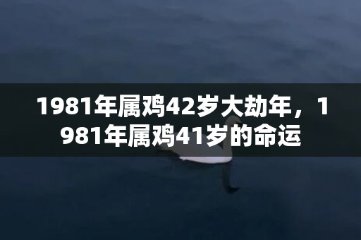 1981年属鸡42岁大劫年，1981年属鸡41岁的命运