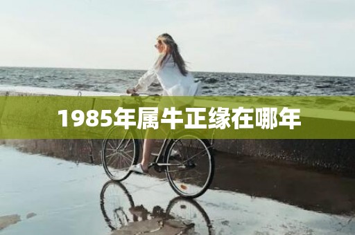 1985年属牛正缘在哪年