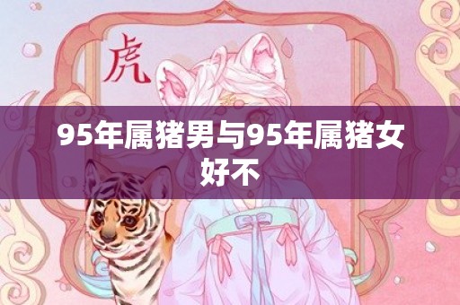 95年属猪男与95年属猪女好不