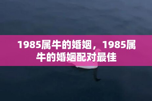 1985属牛的婚姻，1985属牛的婚姻配对最佳