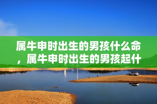 属牛申时出生的男孩什么命，属牛申时出生的男孩起什么名字好，不可以用什么字