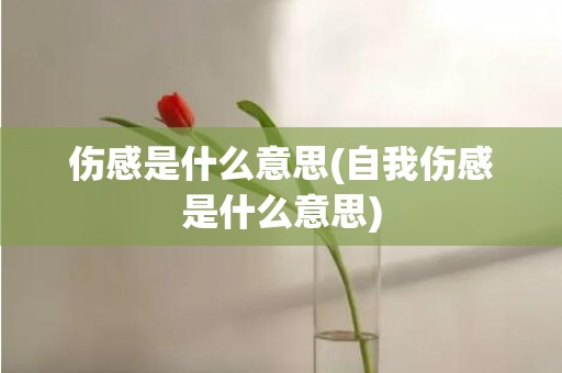 伤感是什么意思(自我伤感是什么意思)