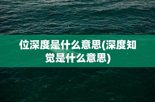 位深度是什么意思(深度知觉是什么意思)