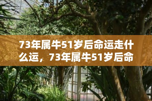 73年属牛51岁后命运走什么运，73年属牛51岁后命运怎样