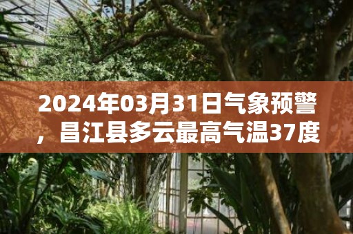 2024年03月31日气象预警，昌江县多云最高气温37度