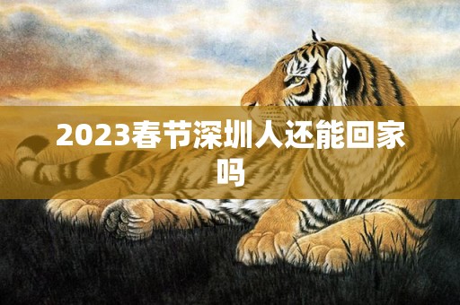 2023春节深圳人还能回家吗