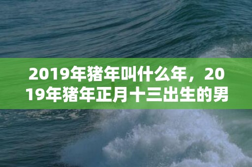 2019年猪年叫什么年，2019年猪年正月十三出生的男孩五行缺土的名字推荐