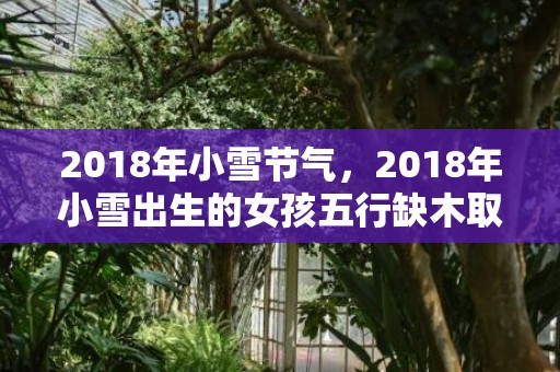 2018年小雪节气，2018年小雪出生的女孩五行缺木取什么名字好？属于什么命？