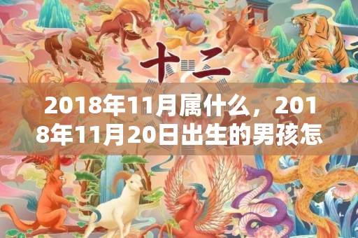 2018年11月属什么，2018年11月20日出生的男孩怎么取名？如何给孩子取名？