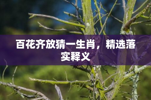 百花齐放猜一生肖，精选落实释义