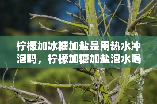 柠檬加冰糖加盐是用热水冲泡吗，柠檬加糖加盐泡水喝的做法