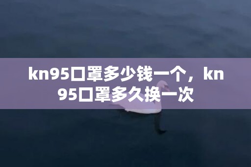 kn95口罩多少钱一个，kn95口罩多久换一次