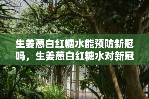 生姜葱白红糖水能预防新冠吗，生姜葱白红糖水对新冠有用吗