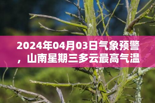 2024年04月03日气象预警，山南星期三多云最高气温21度