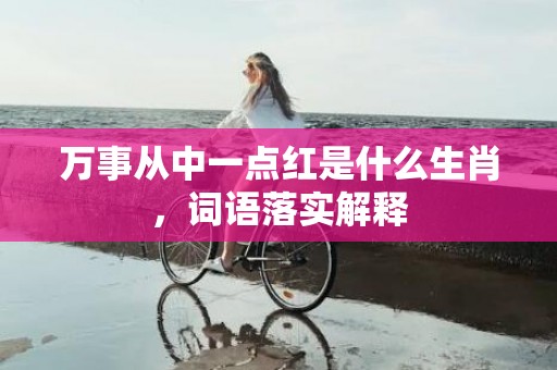 万事从中一点红是什么生肖，词语落实解释