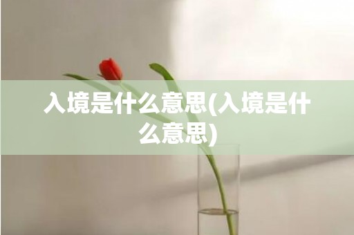 入境是什么意思(入境是什么意思)