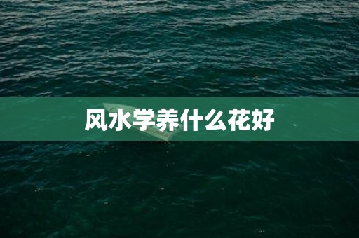 风水学养什么花好