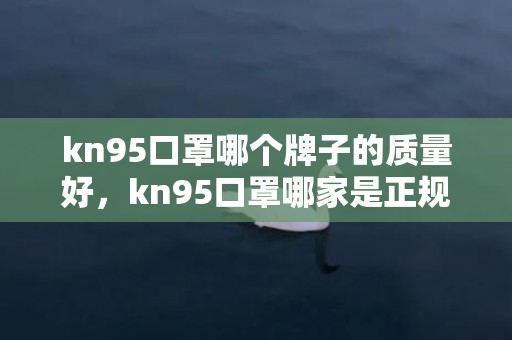 kn95口罩哪个牌子的质量好，kn95口罩哪家是正规厂家