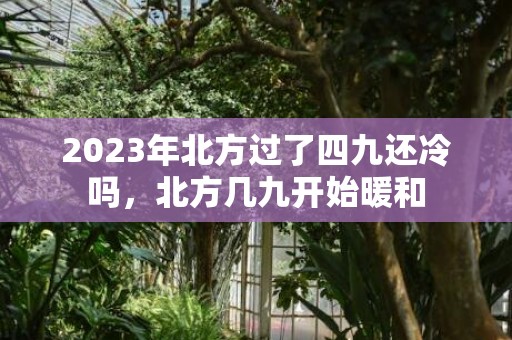 2023年北方过了四九还冷吗，北方几九开始暖和