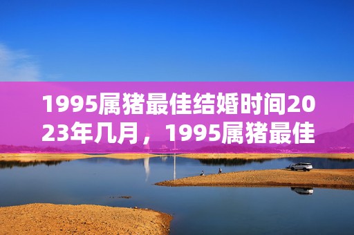 1995属猪最佳结婚时间2023年几月，1995属猪最佳结婚时间